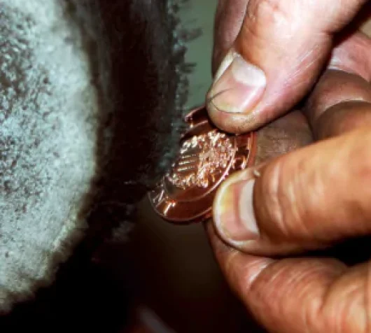 5A.-Polishing1-650x380